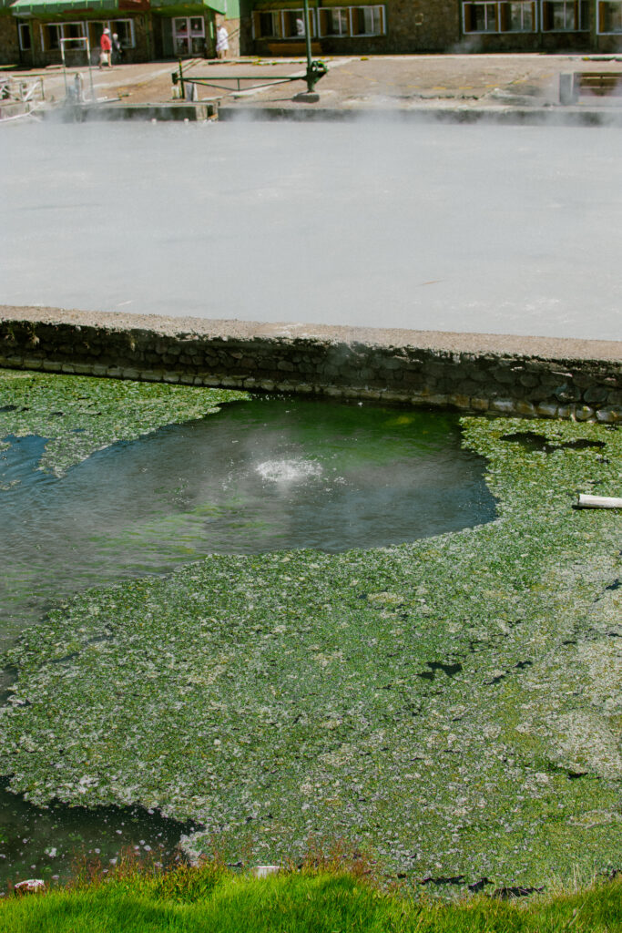 laguna verde y sulfurosa